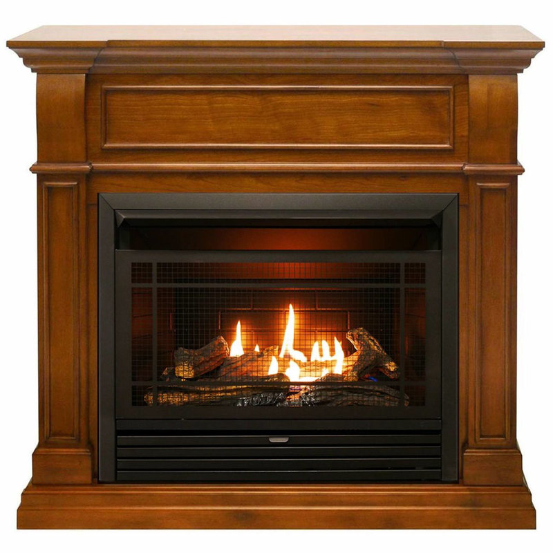 Darby Home Co Zellmer 44'' W Ventless Fireplace & Reviews Wayfair